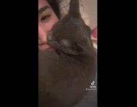 Black cat gets comfortable on owners neck 