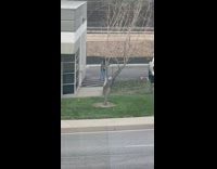 Girl open zebra print shirt beside building
