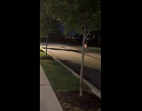 Collab Clips MPUGC - Woman chased by racoons on street 