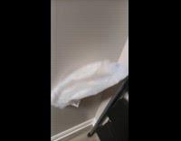 White plastic bag stays on the wall