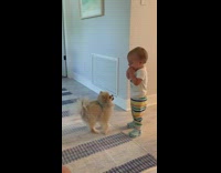 Little baby laughing playing with small dog 