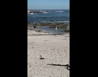 Two women dress dance seaside beach