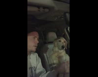 Collab BitchMP - Guy in car talking to dog about wind