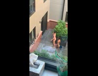Two girls tiktok dance bikinis patio towels