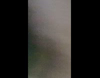 Small spider move towards the filmer and startled