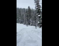 guy lands triple back flip ski