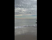 Shopping cart left on beach sand
