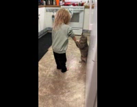 Cat stand grab arm of young girl