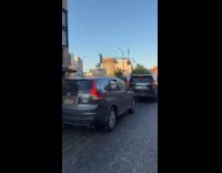 Dog peeking out from car window wearing doggles