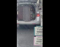 Man holds onto large furniture in back of van 