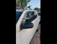 Large brown white dog drivers seat SUV