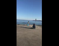 Woman blue slit pants dance face mask part 1