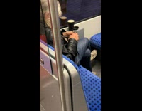 Collab Subway Creatures - Woman inside train pick skin of pet bird