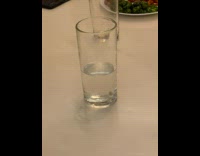 Lemon seed float in glass of water