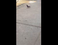 Person in a Bugs Bunny costume walks on the street