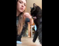 Black cat jumps through ring