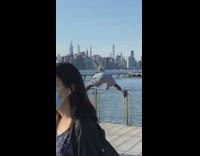 Guy stands on railing with feet apart 