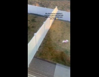 Dogs dug hole underneath fence