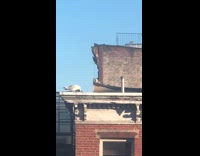 White seagull bird eats food on rooftop 