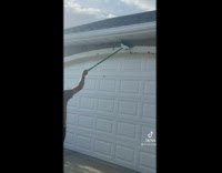 Black cricket bugs cover outside of house 