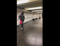 Three skaters ride skateboards on their belly