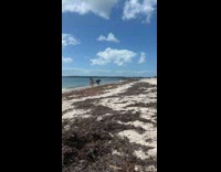 Collab IITW - Two women in bikini twerks together at the beach