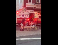 Dog wearing ambulance costume with ambulance behind