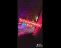 Collab BitchMP - Car drive thru Christmas Lights guy freaks out after seeing Sid from ice age 