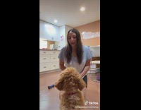 Dog trained to give hugs on command 