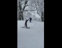 Rat guy rides pizza down snow hill 