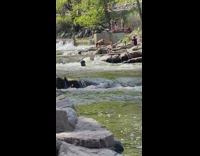 Girl plank exercise  river stream mask surfboard