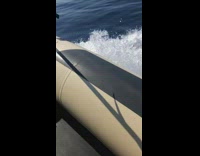 Black shirt guy brown boat steering wheel