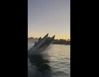 2 speedboats do wheelies 