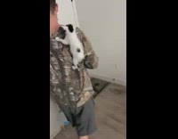 Guy throws baby kitten that latches onto shirt of another guy