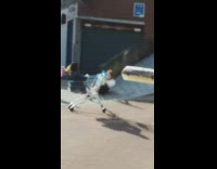 Pink blue balloons girl shopping cart