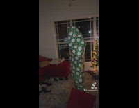 Woman gets Christmas gift prank 