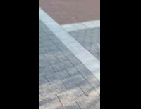 Fake rat on remote controlled toy car 