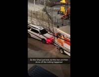 Uhaul truck drives away after hitting tree