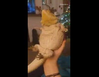 Reptile lizard sits upright on hand guy 