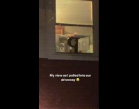 Collab BitchMP - Guy dancing whip window