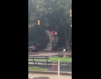 Park stairs flood water flows to street