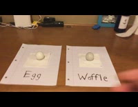 Collab SendItOfficiall - Ping pong pushes egg into pan domino