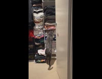 Cat ruining folded clothes closet
