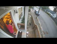 Ring camera girl reacts to cat eating her chick fil a 