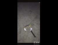 Crab holds onto black vape pen sand 