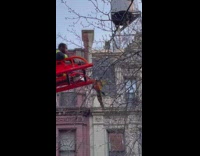 Collab winy - Grandpa climbs ladder towards green parrot pt. 3