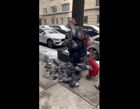 Woman feeding pigeons on street