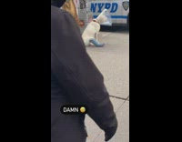 Good boy dog being a sad boy sitting on sidewalk with cone and cast