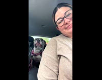 Dog back seat of car screaming