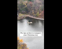 Collab WINY - Men transport Christmas tree on floating platform